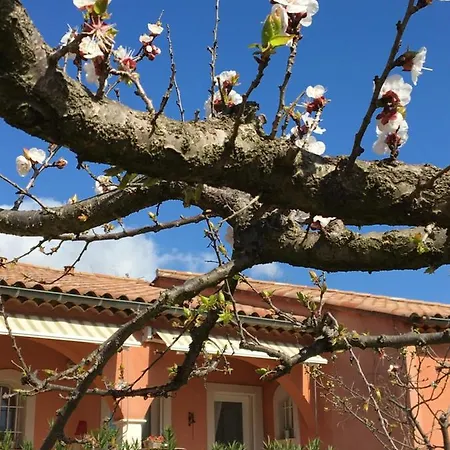 Le Jardin Secret Casa de hóspedes Villeneuve-lès-Béziers